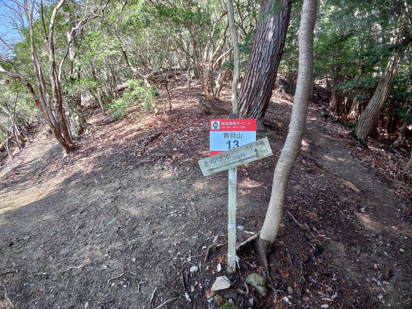 天台山への分岐を下ってすぐ