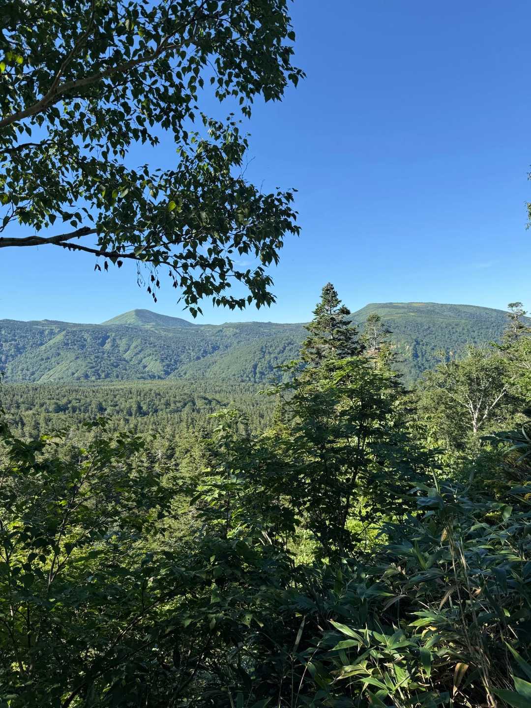 八甲田大岳登山口-小岳-高田大岳 往復コースの写真