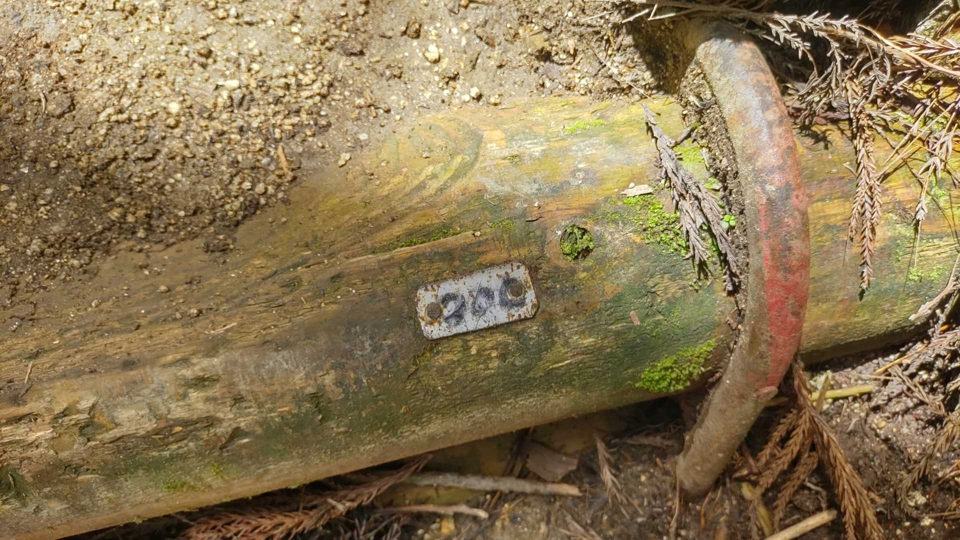 200