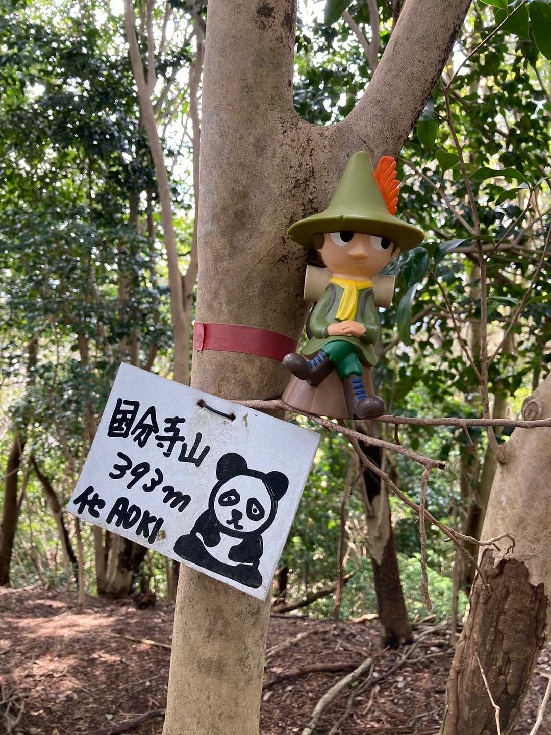先ずは、国分寺山で〜す。