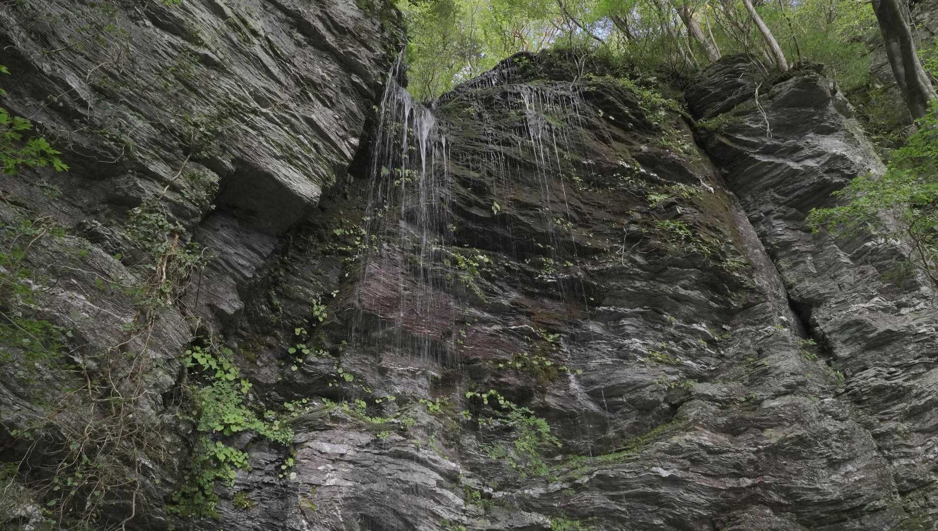 稲叢山 往復コースの写真