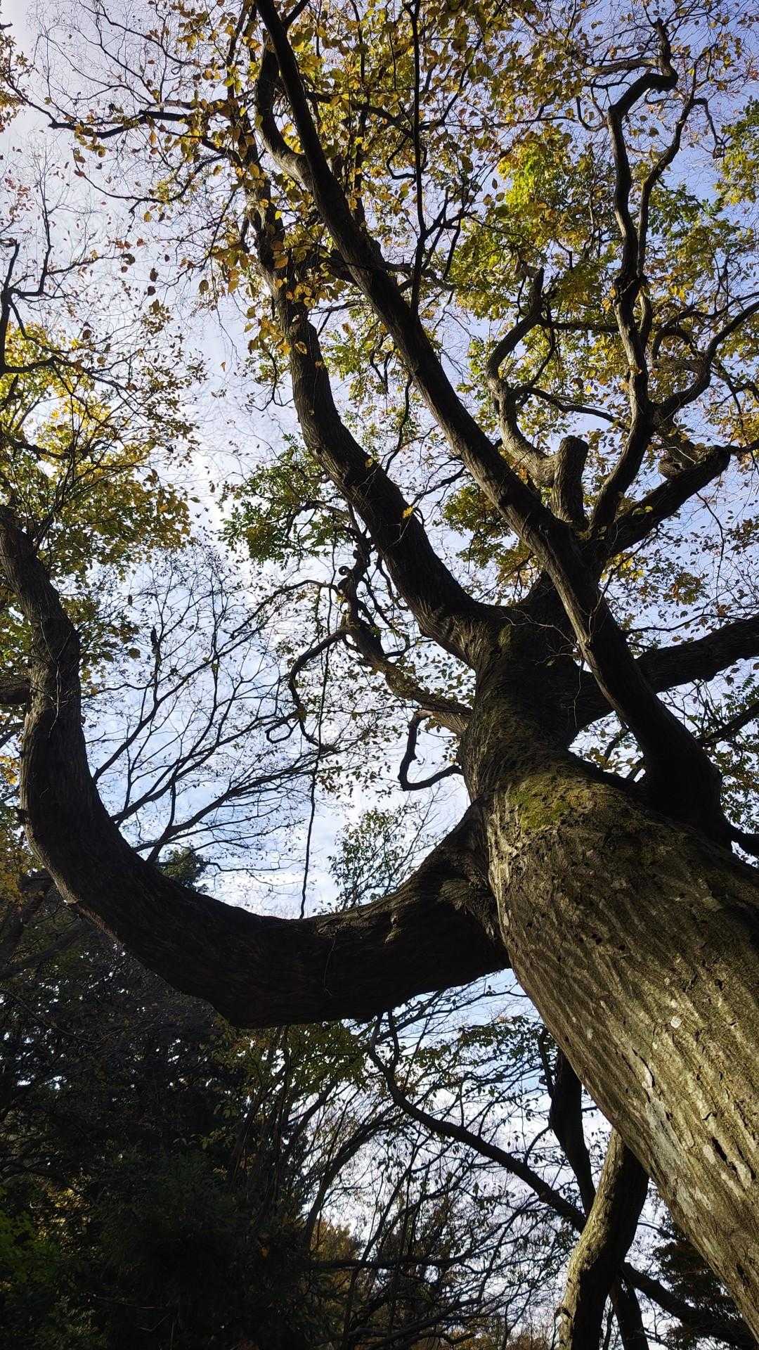 何か撮りたくなってしまいました😅