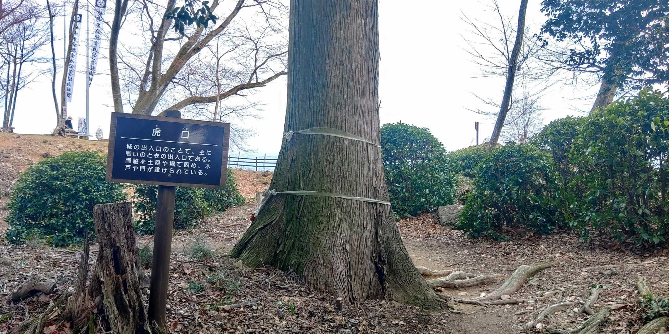 菩提山 往復コースの写真