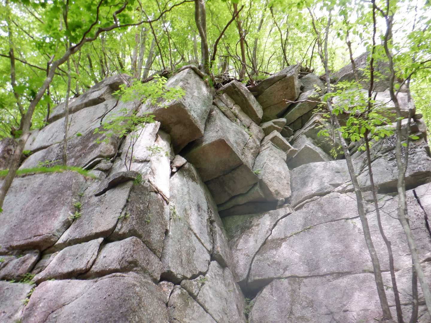 塔ノ沢登山口-小丸山-　 往復コースの写真