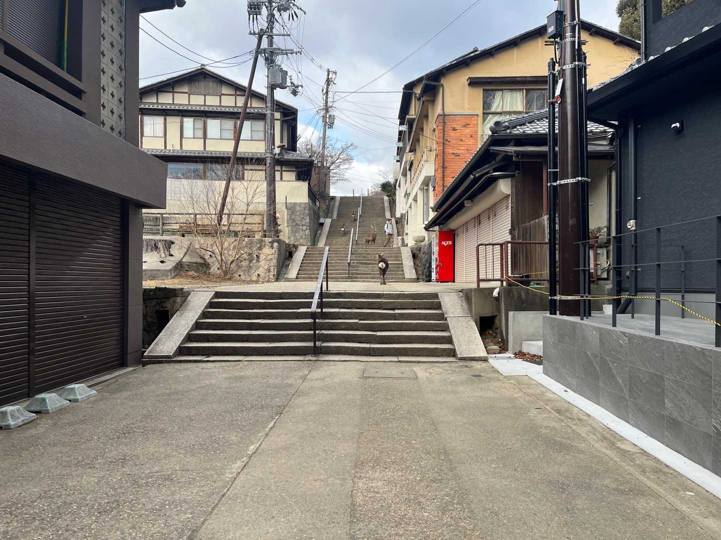 さー若草山へ向かいましょう😊