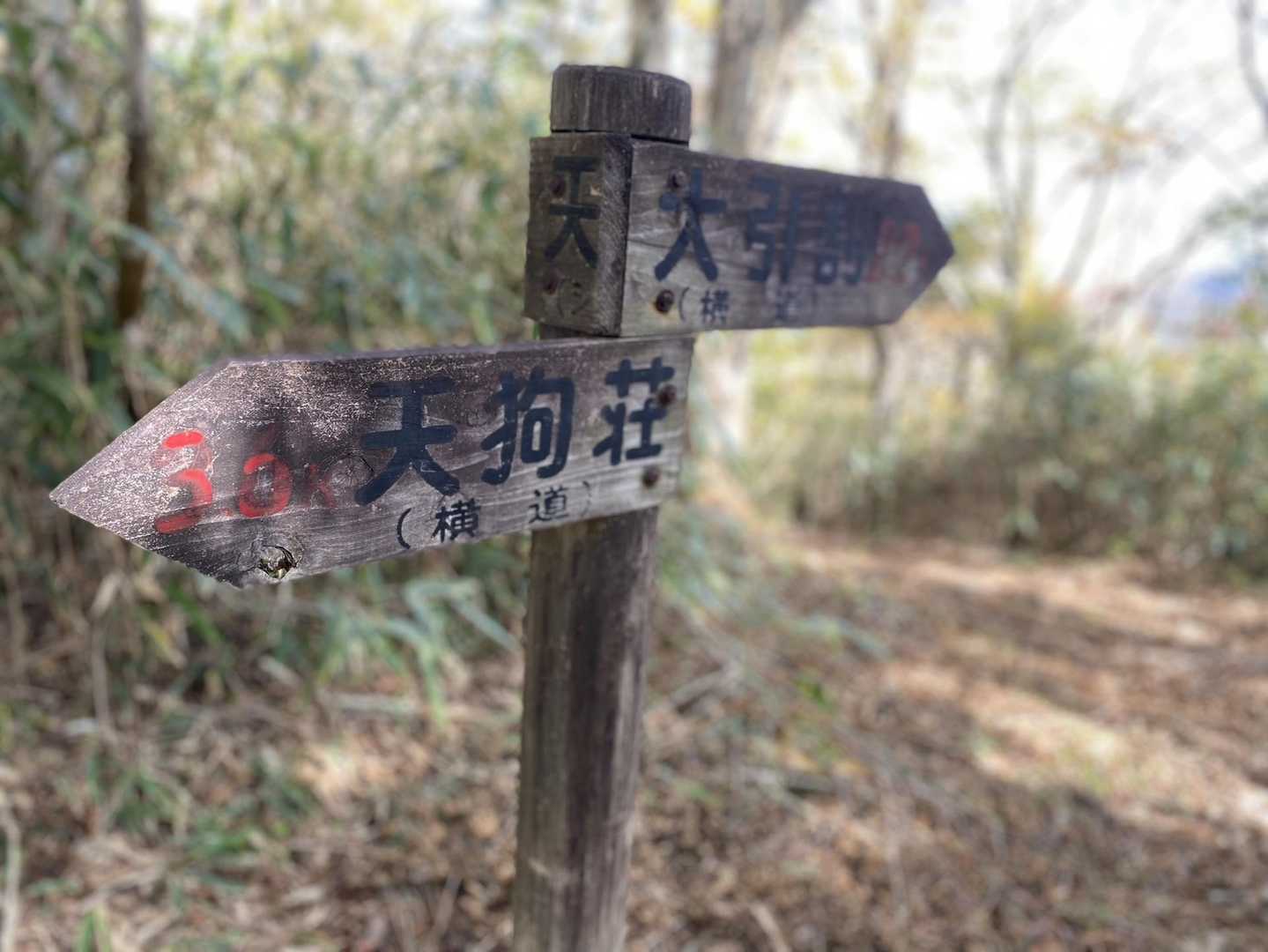 今日は大引割目指します！