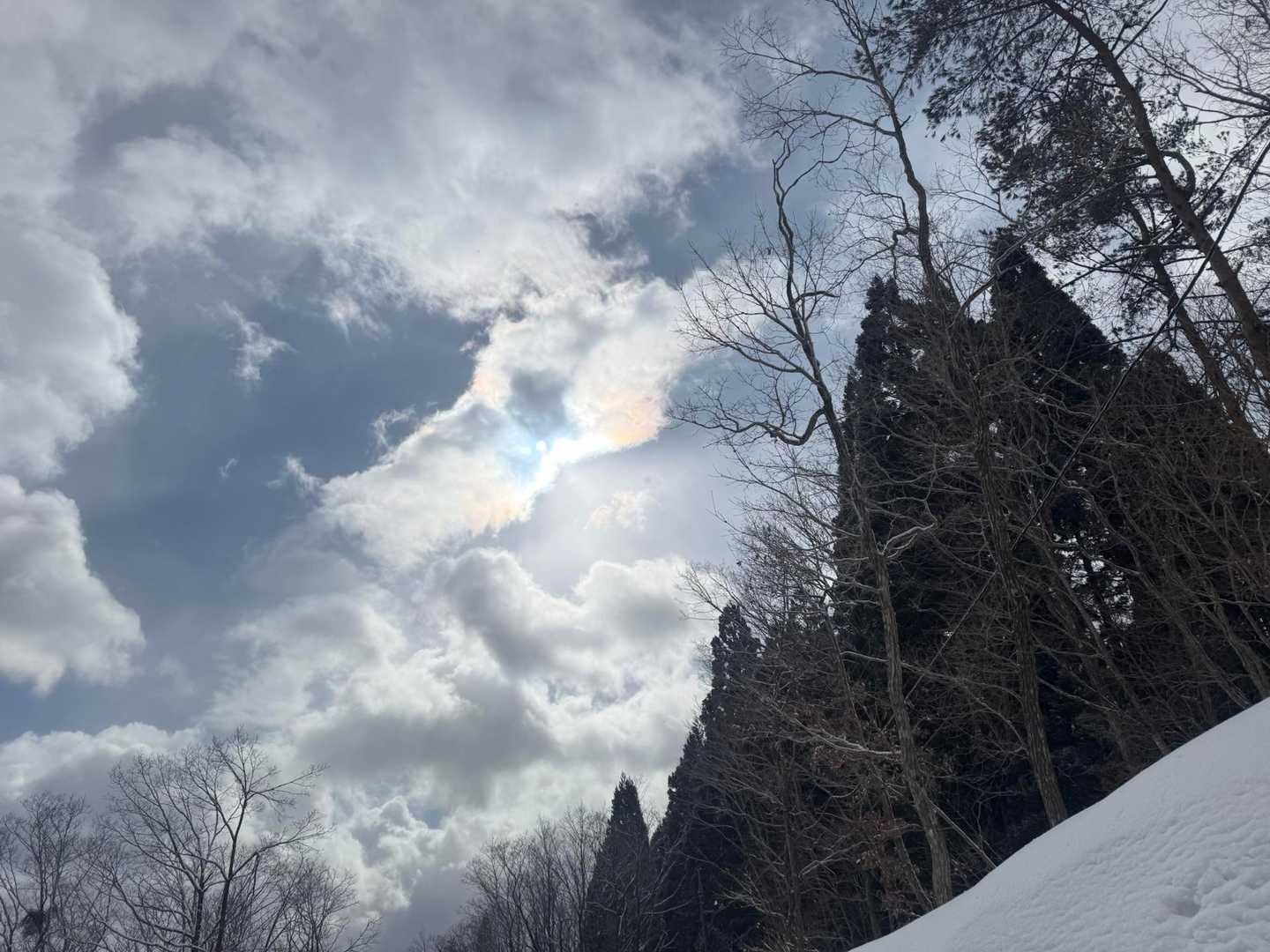 人形峠-高清水高原 往復コースの写真