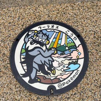 ポケモンマンホール🕳️