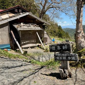 漸く峠に出た、小屋は閉鎖中
