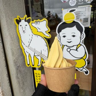 和歌山みかんソフト🍊
とってもみかんでさわやかなおいしさ！