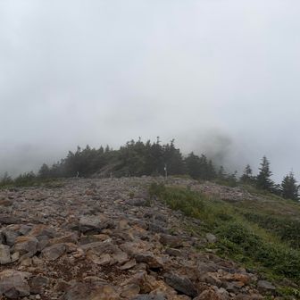 東篭ノ登山へ戻ってきました