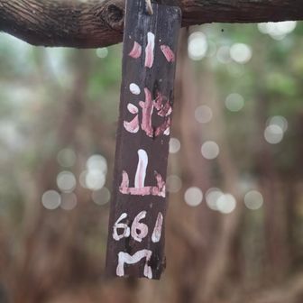 
グレーピーク 小池山 登頂❗

薄暗い場所で 📷掲載が憚られる間もない💩
発見👀     人🧍‍♂️⁉️ んっ 熊🐻‼️
人の物なら安心なんだけど もしや😱

紙使用の形跡はありません...😨