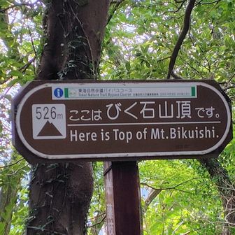 山頂