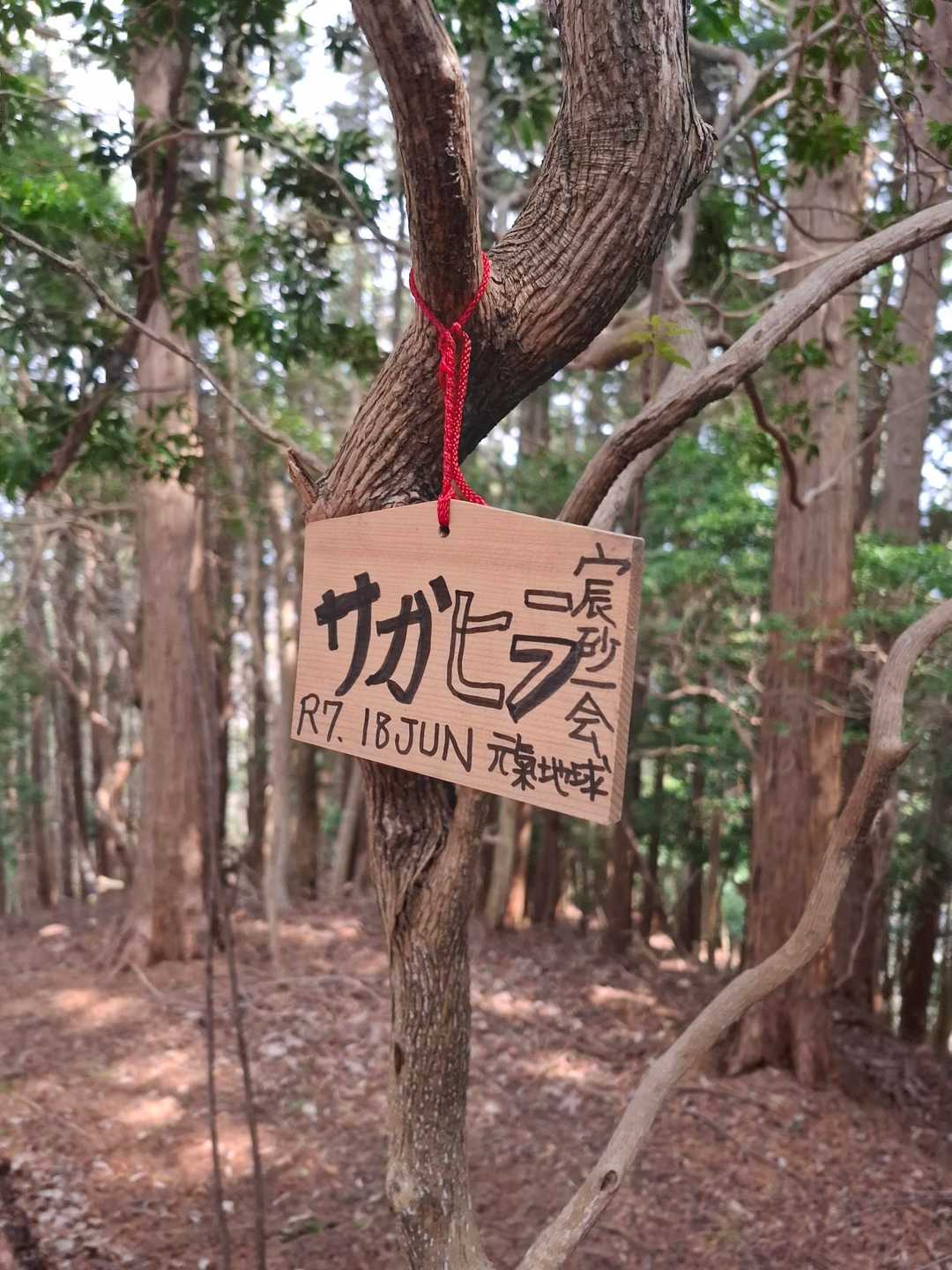 十八神社-額井岳-戒場峠-戒場山-戒長寺 縦走コースの写真