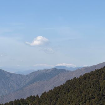 南アルプスが見えます