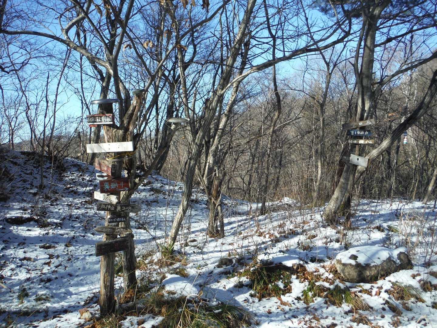 戸神山 往復コースの写真
