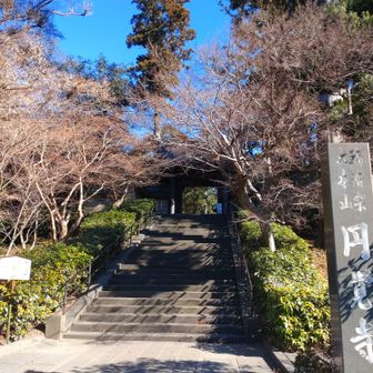 入ろうと思いましたが、500円有料でしたので断念。高くない？