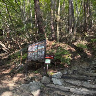 登山口