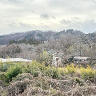 遠くに「山の目👀」