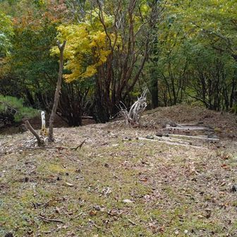 休憩後、火打山へ向かう