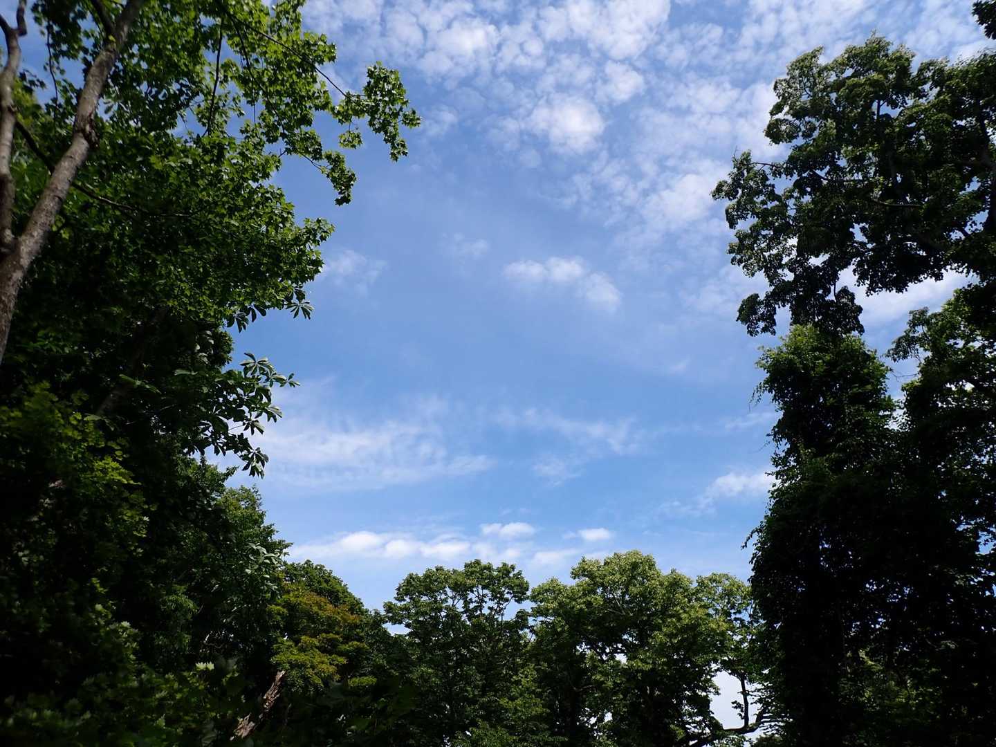 青空
そよ風

山日和

百名山ハンターを諦めようか…
と…
思いながらも

こっちの数字はテン泊なら
行けるかな

あっちの数字は一泊で行けるかな

あの山はどうやったら行けるのか

YAMAPの登山計画してみる🤣