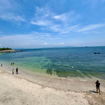 観音崎ビーチ

意外に多かった海水浴客

久々に犬かきしている犬を見ました（右寄り）

横須賀とは思えない南国感