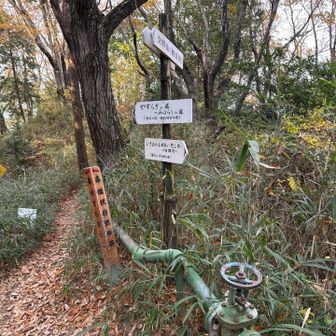 目指すは観音岩🪨