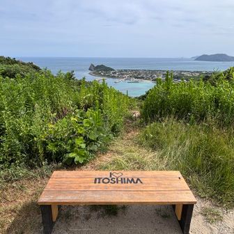 登山口のベンチが新しくなっていました🆕
