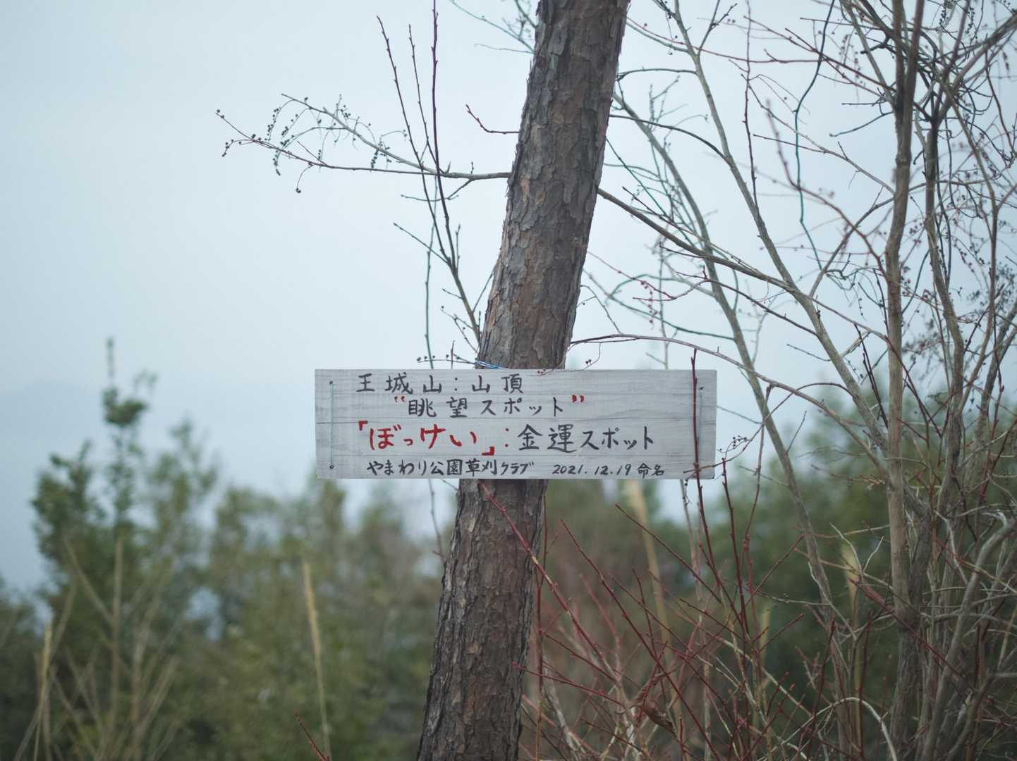 ぼっけい金運スポットに到着！
「ぼっけい」は最初岡山の方言「ぼっけぇ」かと思ったんだけど、もしかしたら「敵を欺くために自分の身や味方を苦しめてまで行う」ぼっけいなのかなー🤔