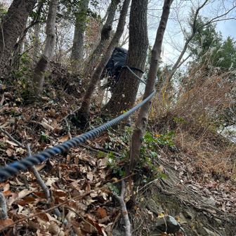 神社の裏からスタート！
天狗山までは、前回、下りに使い、かなり急な下りだったので、やっぱり登りも急😆
ロープがありがたい🙇
