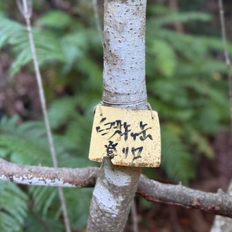 登山口に到着😄