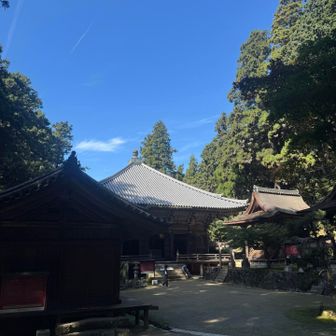 登り始めて約30分。良いペースで歩けたかな