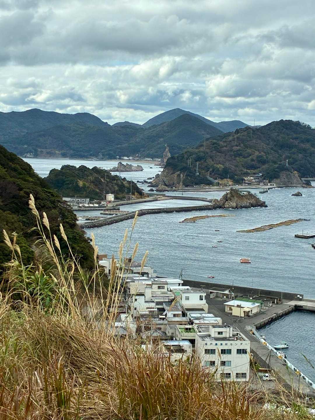 本土の四浦半島は目と鼻の先👀