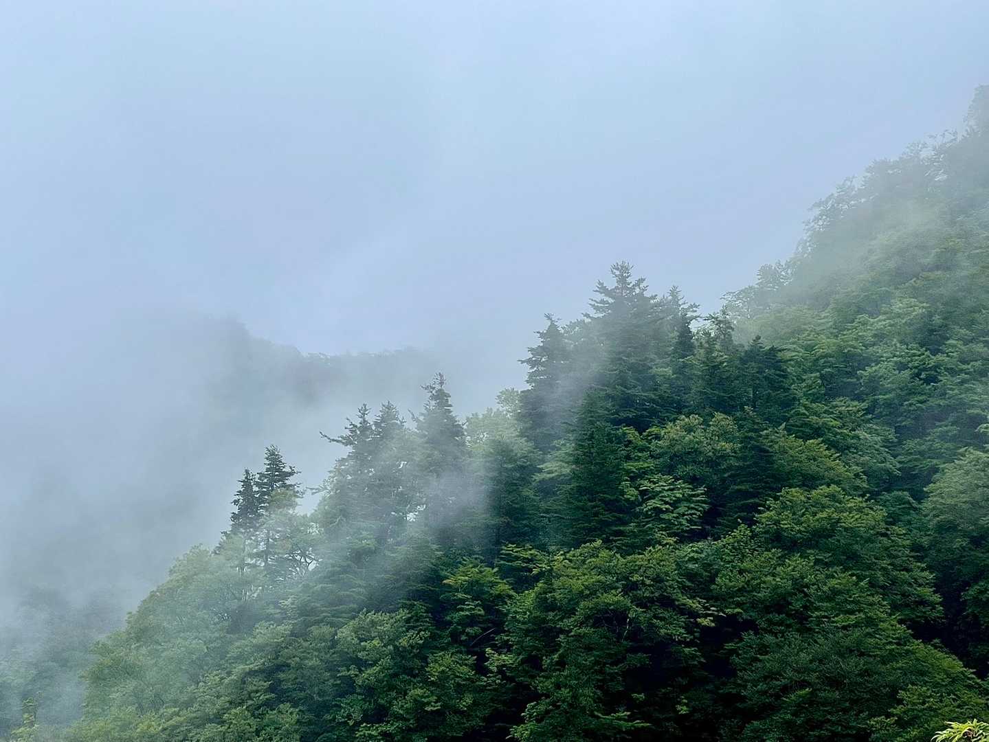 瀧山 往復コースの写真