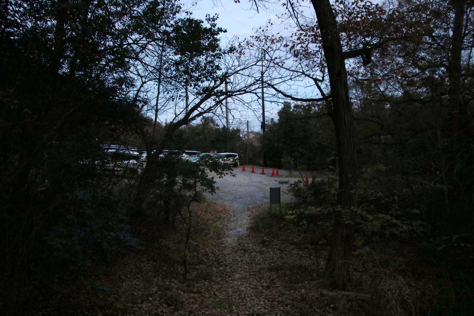 登山家気分ルートから、エデンの園へ行く本ルートに戻るのに迷子になりそうでした😅
無事ヘッドライトは使わず下山できました。
バイクの場所に戻った時は真っ暗。。