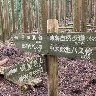 西浦峠に到着しました。
倶留尊山方面に進みます。