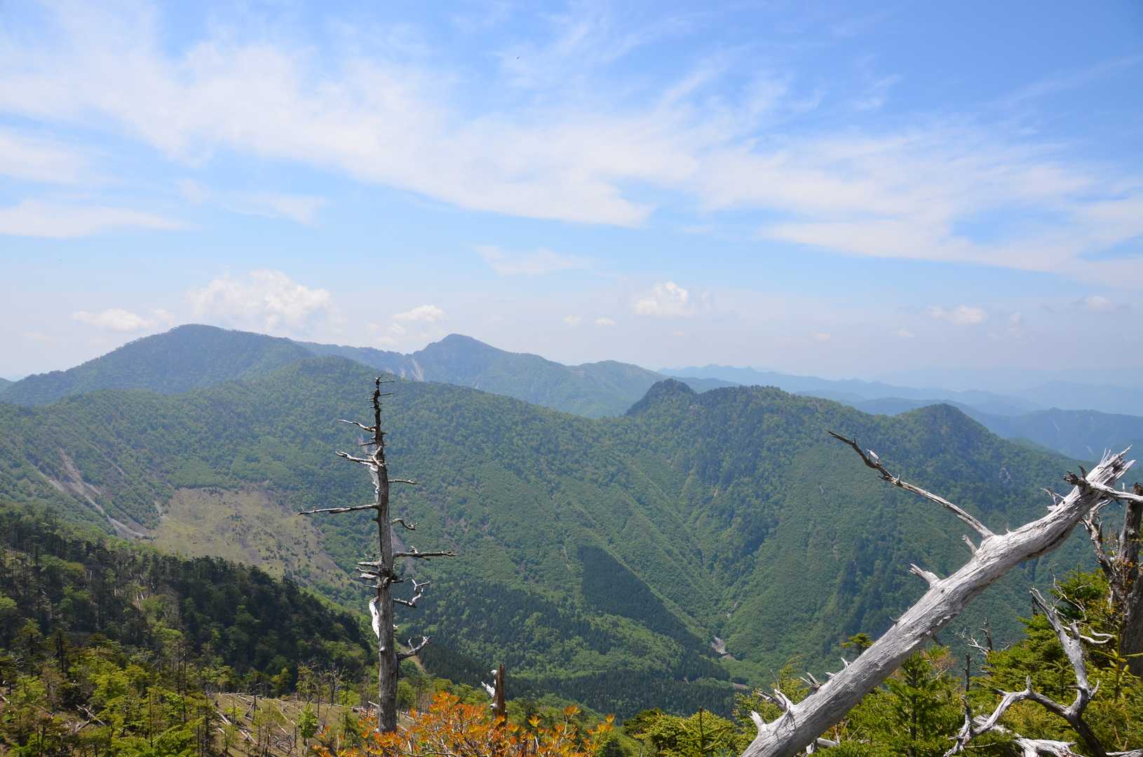 細尾山 周回コースの写真