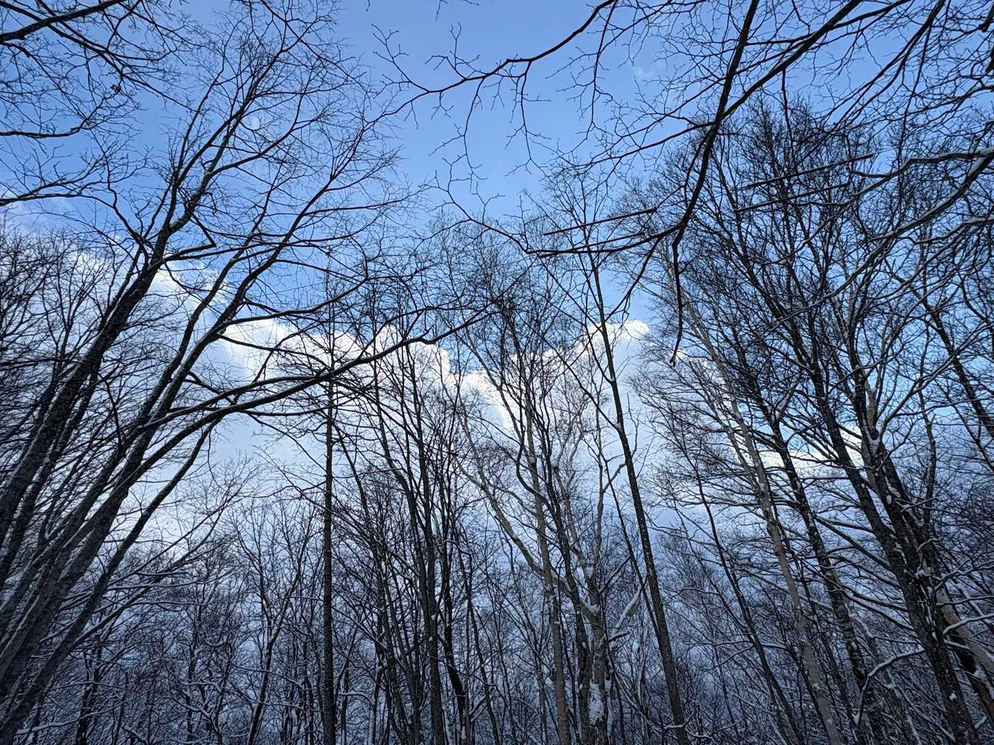 なんだかしんどいから、5合目で引き返しちゃおうかなぁと思ってたら…
うっすら青空出てきてﾎﾞｸの元気も出てきた😊