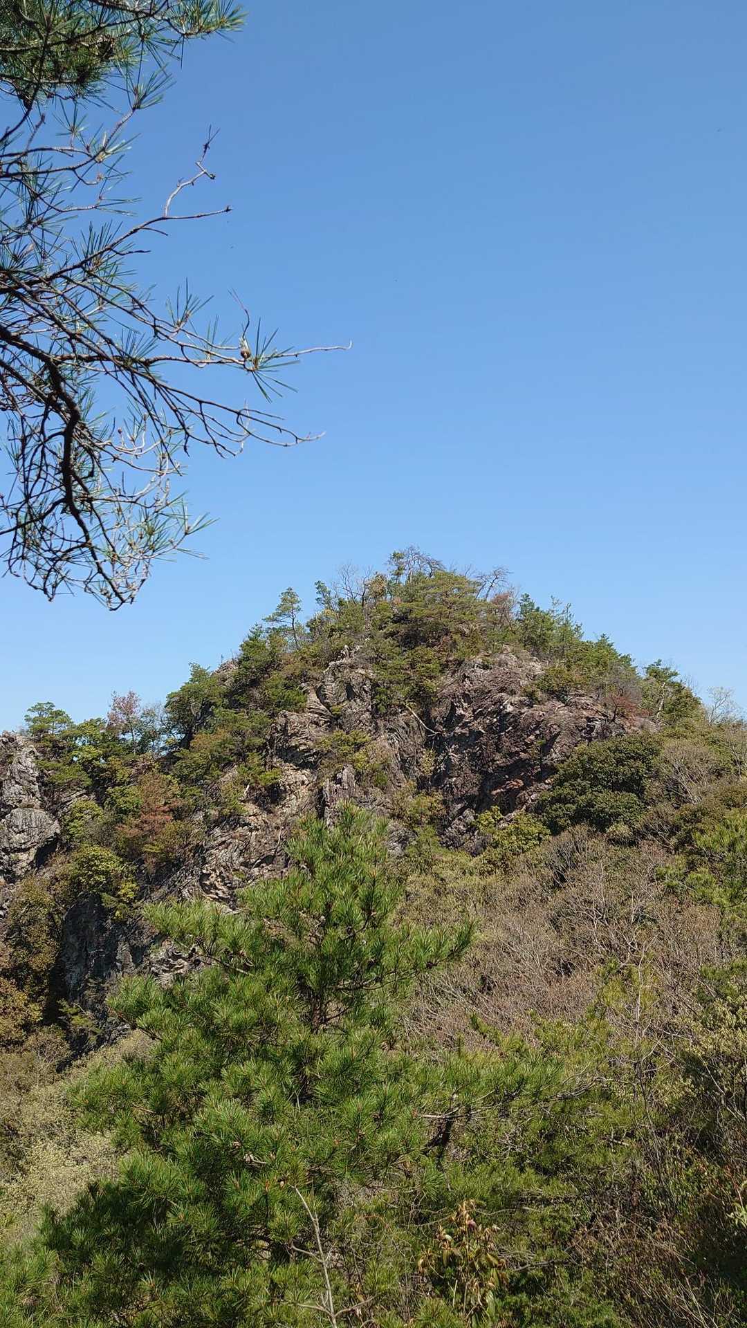 みのかも健康の森登山口-高木山登山口-高木山-富士山 周回コースの写真