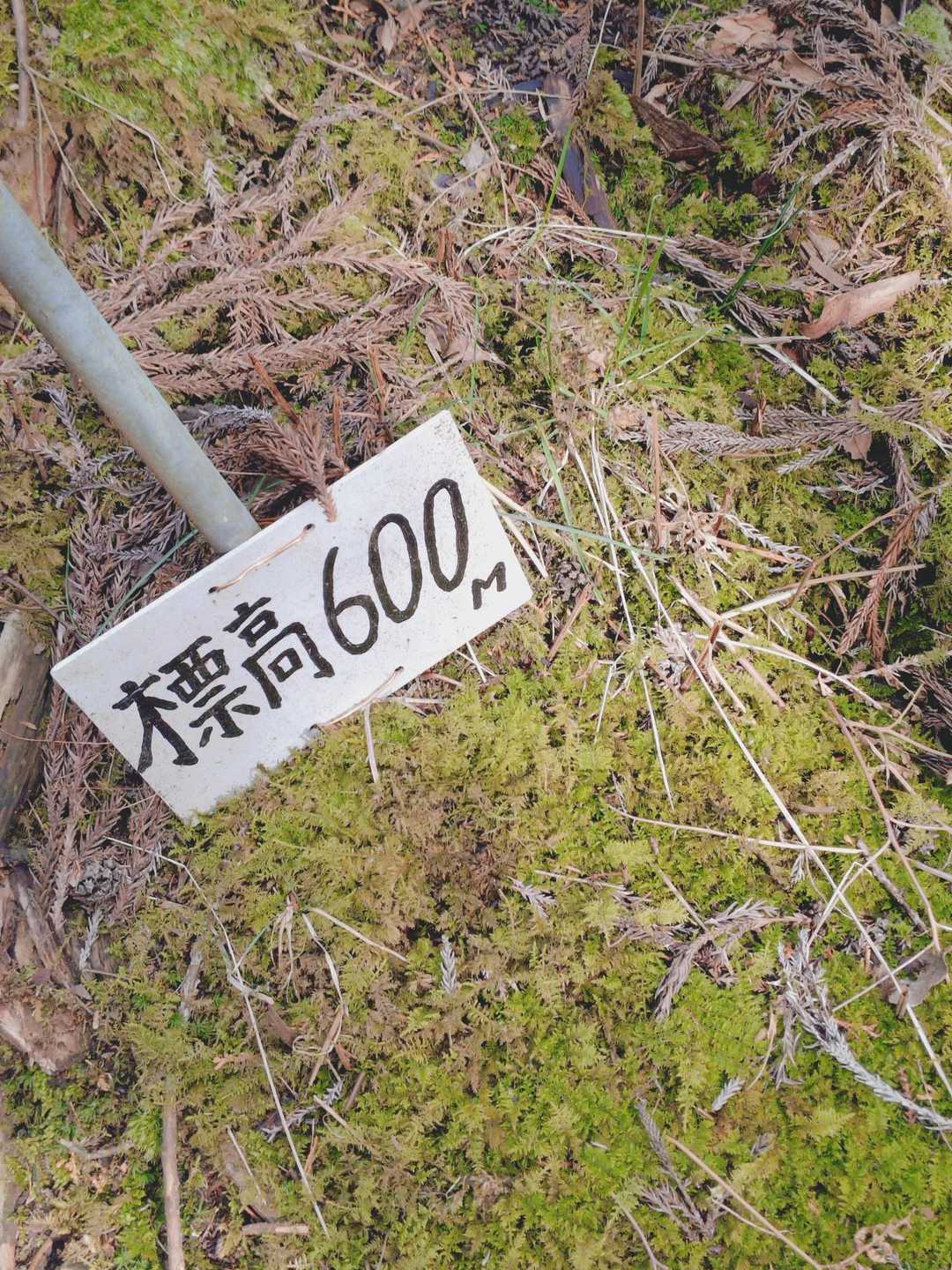 標高600m
ほぼスカイツリーのてっぺん🗼
だから？て、言わないでくださいね🤣