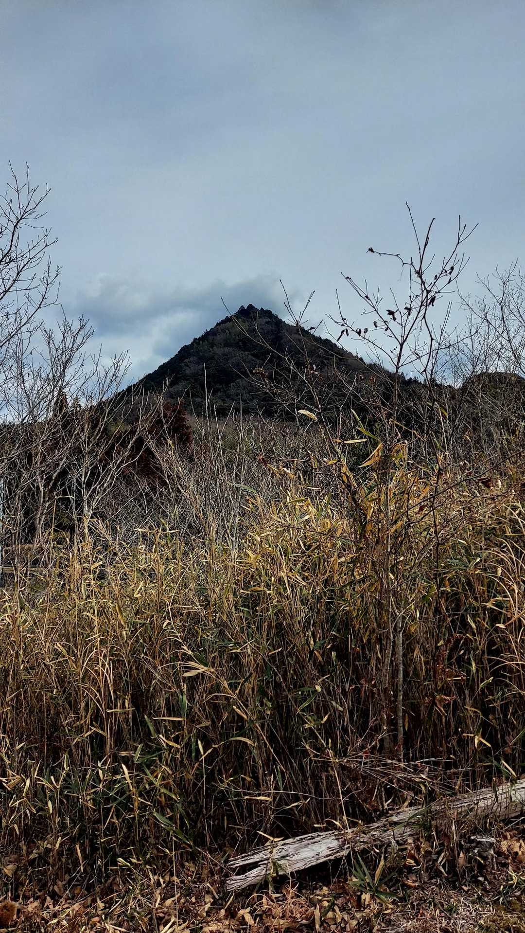 行者山登り口-行者山 往復コースの写真