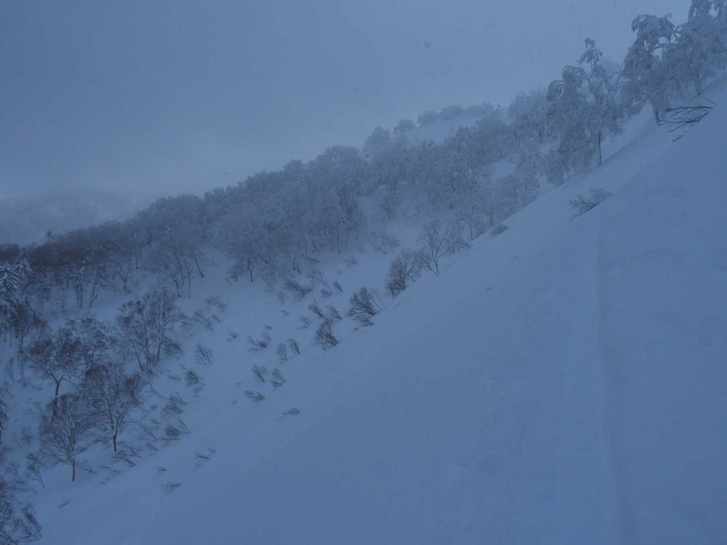 良い斜面でしょ。
