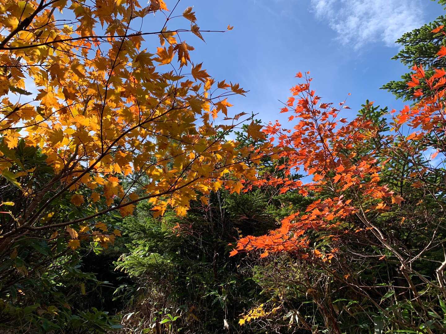 022_浄土平レストハウス-東吾妻山-一切経山-吾妻小富士 周回コースの写真