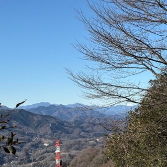 南アルプスも見えます