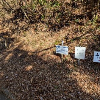 無事下山
ここから車道歩き