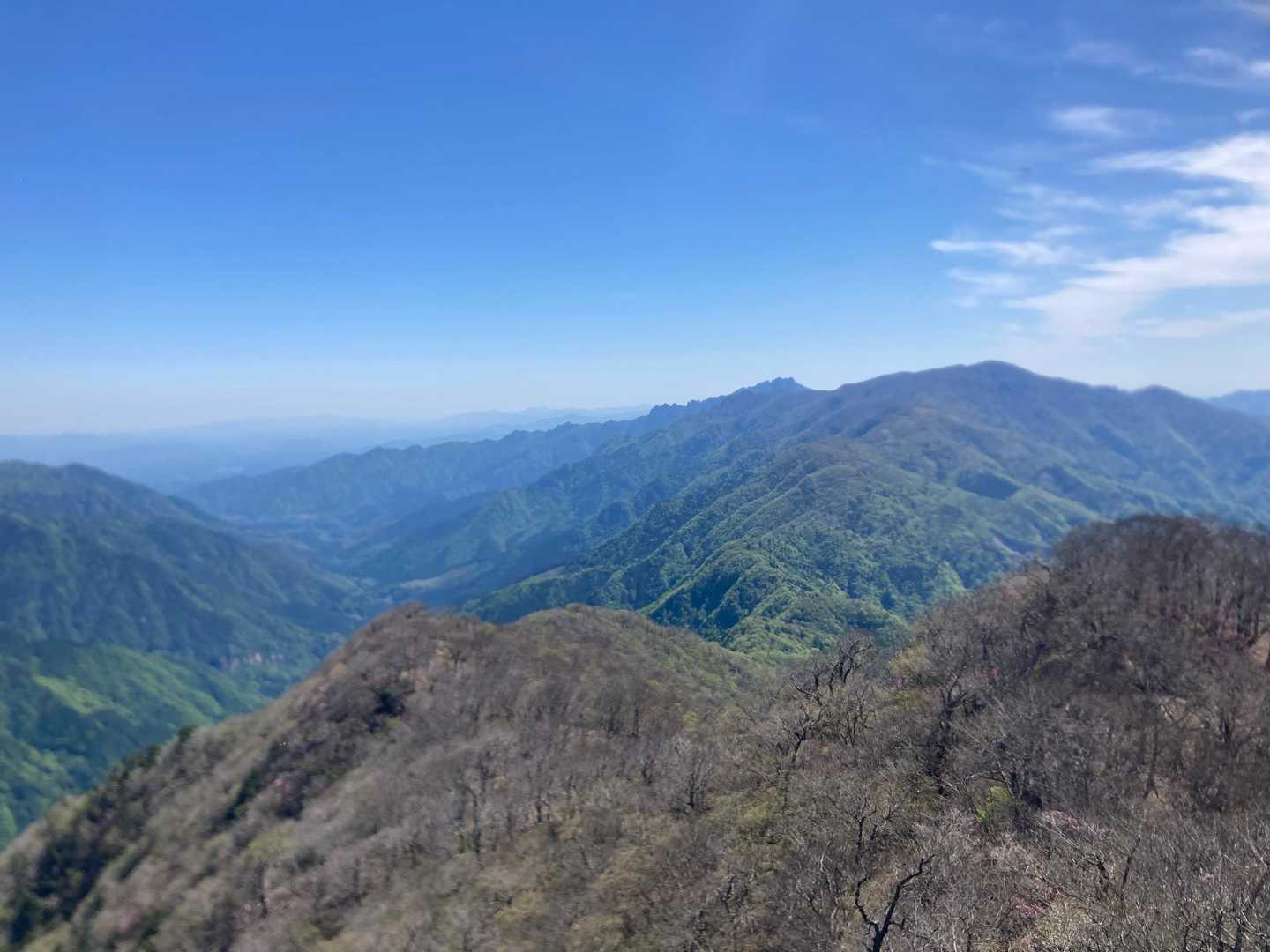 最高😀