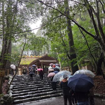 荒祭宮に参拝⛩️