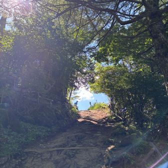 引き返してメインの開運山へ
ここの登り道、空へ向かうみたいでなんか好き