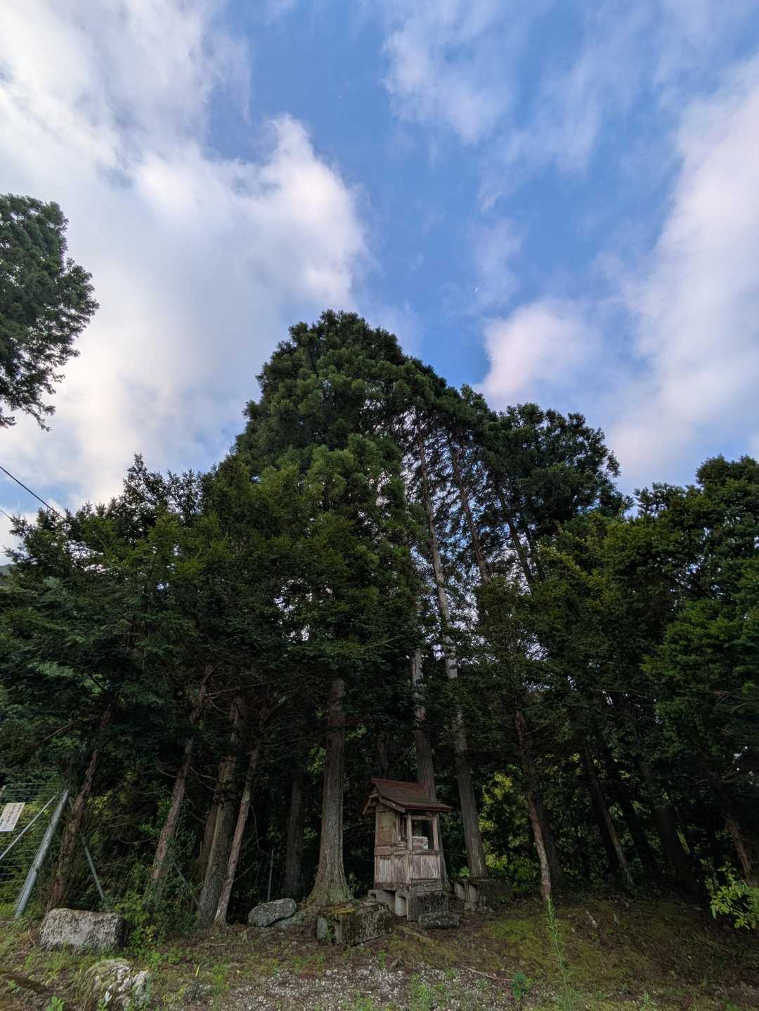 京塚山 往復コースの写真