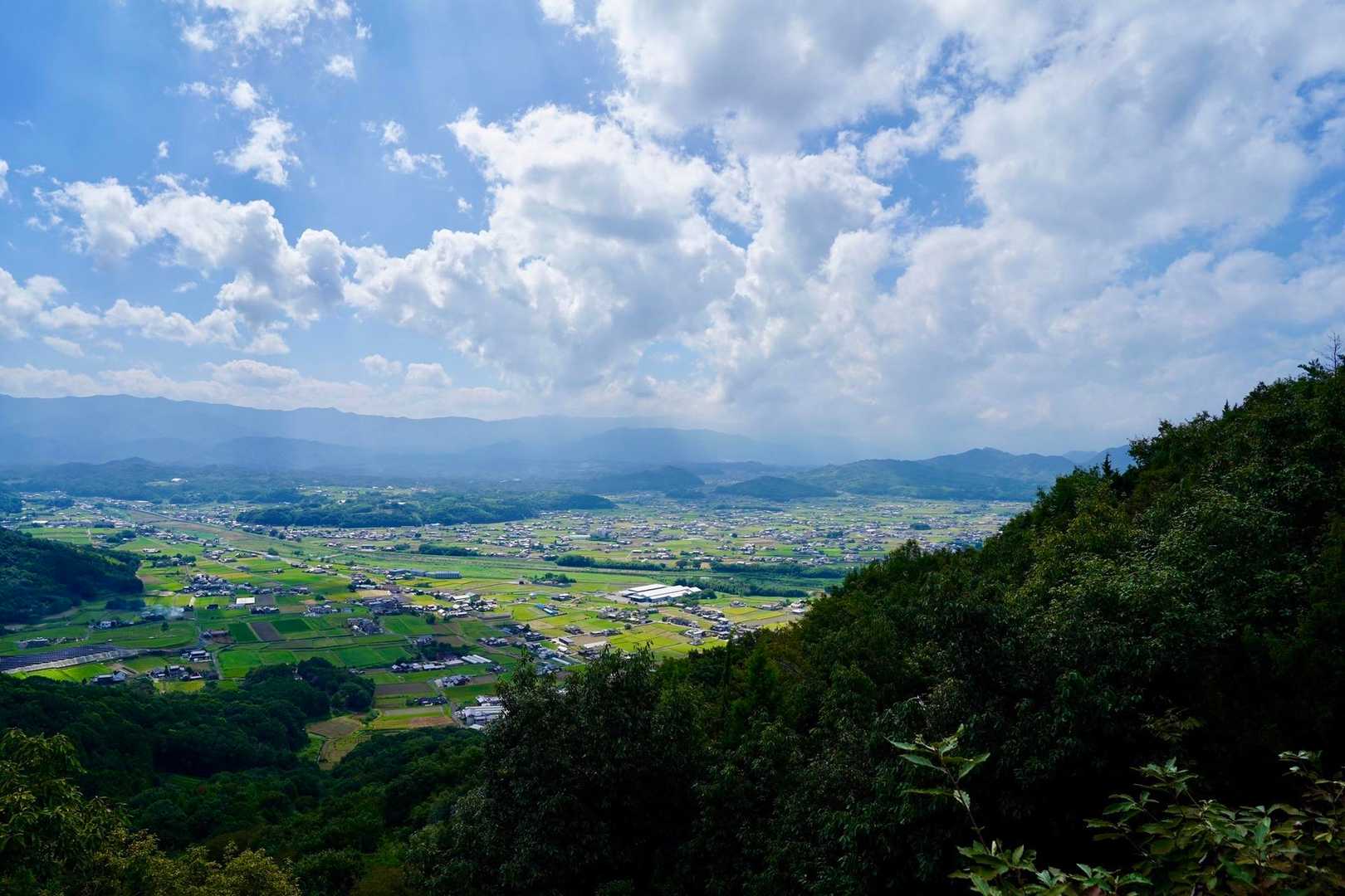 田んぼはまだ、緑🟢